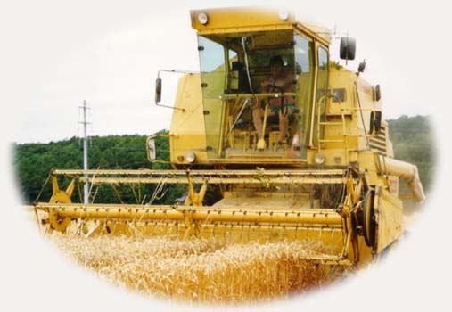 A l'heure chaude de la moisson...