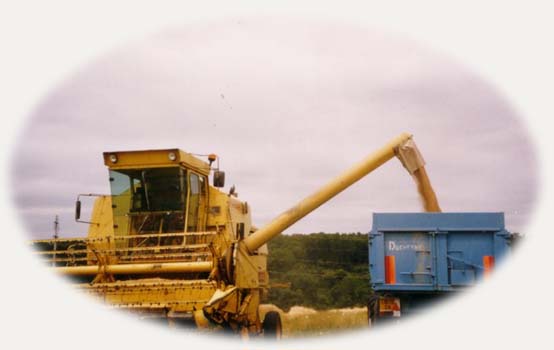 Le coeur du moissonneur exulte !