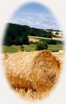 La liti�re est emball�e !