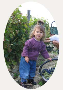 Une tr�s jeune vendangeuse...