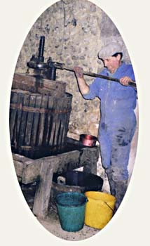 Le raisin est press�...